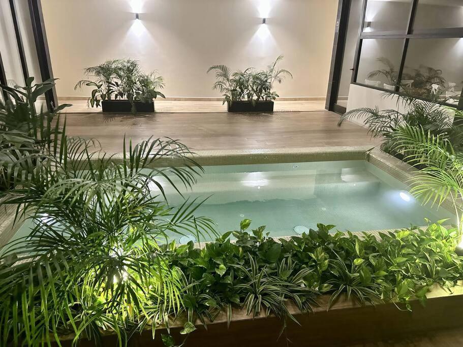 Pool View / Rooftop Pool, Jacuzzi, Gym & Bar *